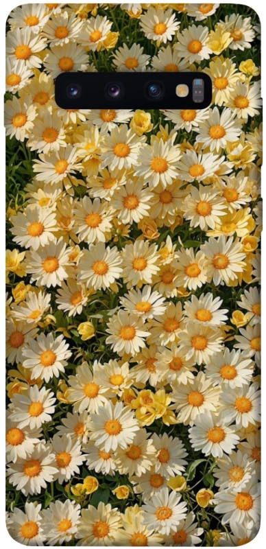 Чехол на Samsung Galaxy S10+ Camomile фото 1 из 1