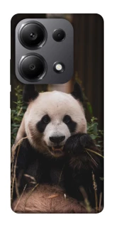 Чехол на Xiaomi Redmi Note 13 Pro 5G Панда фото 1 из 1