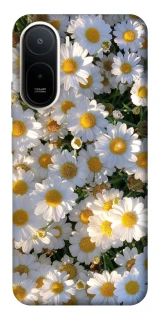 Чехол на Xiaomi Redmi A7 Pro 4G Поле ромашек фото 1 из 2