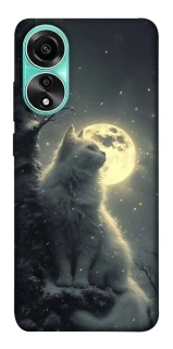 Чехол на Oppo A78 4G Кот под луной фото 1 из 1