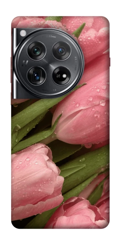 Чохол на OnePlus 12 Beauty фото 1 з 1