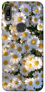 Чохол на Huawei Y6 (2019) Поле ромашок фото 1 з 1