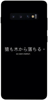 Чохол на Samsung Galaxy S10+ Japanese Perfect фото 1 з 1