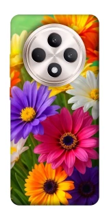 Чехол на Oppo Reno 12 F 4G/5G Flowers v32 фото 1 из 1