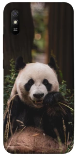 Чехол на Xiaomi Redmi 9A Панда фото 1 из 1