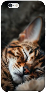 Чохол на Apple iPhone 6/6s plus (5.5") Cat paws фото 1 з 1