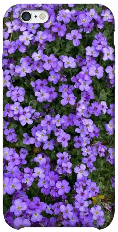 Чохол на Apple iPhone 6/6s (4.7") Flowers v17 фото 1 з 1
