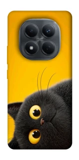 Чохол на Xiaomi Redmi Note 15 Pro 4G This is Cat фото 1 з 1