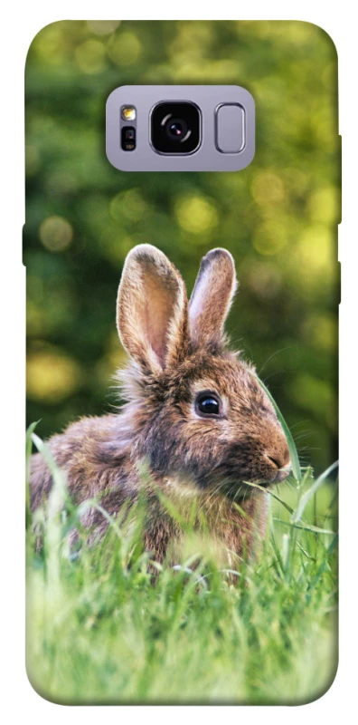 Чехол на Samsung G955 Galaxy S8 Plus Кролики фото 1 из 1