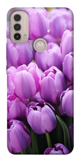 Чехол на Motorola Moto E40 Фиолетовые тюльпаны фото 1 из 1