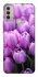 Чехол на Motorola Moto E40 Фиолетовые тюльпаны фото 1 из 1