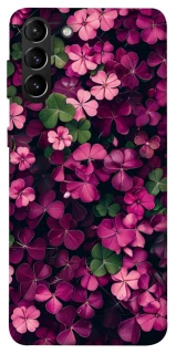 Чохол на Samsung Galaxy S21+ Flowers v7 фото 1 з 1
