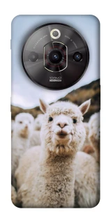 Чехол на ZTE Nubia Focus Pro Лама фото 1 из 1