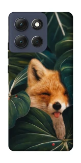 Чехол на Motorola Moto G86 Fox фото 1 из 1