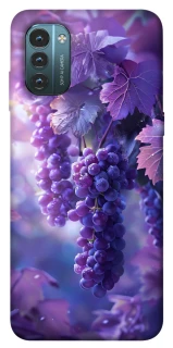 Чехол на Nokia G21 Bunch of grapes фото 1 из 1