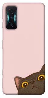 Чохол на Xiaomi Redmi K50 Gaming Peeping cat фото 1 з 1