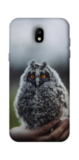 Чехол на Samsung Galaxy J5 (2017) Совёнок фото 1 из 1