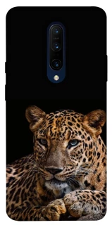 Чехол на OnePlus 7 Pro Leopard v4 фото 1 из 1