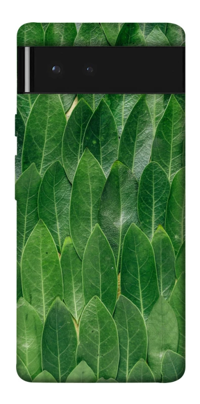Чохол на Google Pixel 6 Листя фото 1 з 1