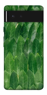 Чохол на Google Pixel 6 Листя фото 1 з 1