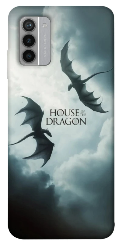 Чехол на Nokia G42 House of the Dragon ver.5 фото 1 из 1