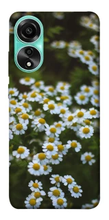 Чехол на Oppo A78 4G Ромашки v13 фото 1 из 1