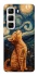Чохол на Infinix Hot 50 4G van gogh cat фото 1 з 1