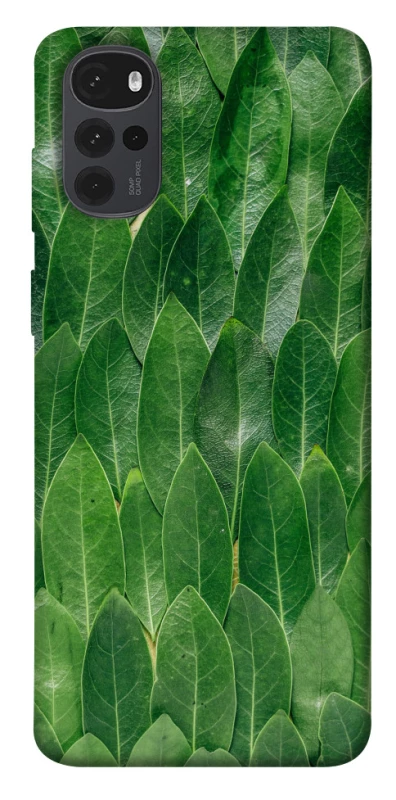 Чохол на Motorola Moto G22 Листя фото 1 з 1