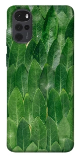 Чохол на Motorola Moto G22 Листя фото 1 з 1