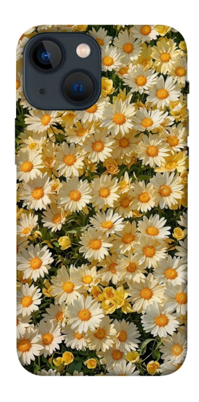 Чохол на Apple iPhone 13 mini (5.4") Camomile фото 1 з 1
