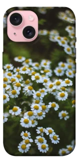Чехол на Apple iPhone 15 (6.1") Ромашки v13 фото 1 из 1
