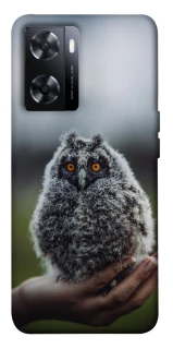 Чехол на OnePlus Nord N20 SE Совёнок фото 1 из 1