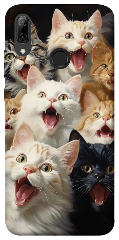 Чохол на Huawei P Smart (2019) Коти фото 1 з 1