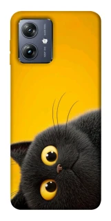 Чохол на Motorola Moto G54 This is Cat фото 1 Чохол на Motorola Moto G54 This is Cat фото 1 з 1