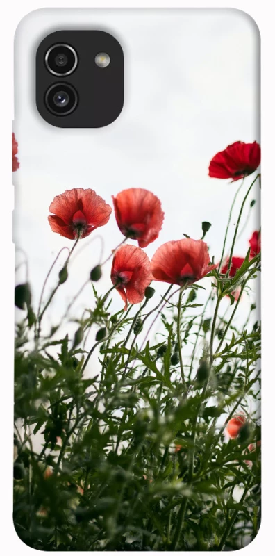 Чохол на Samsung Galaxy A03 Поле маків фото 1 з 1