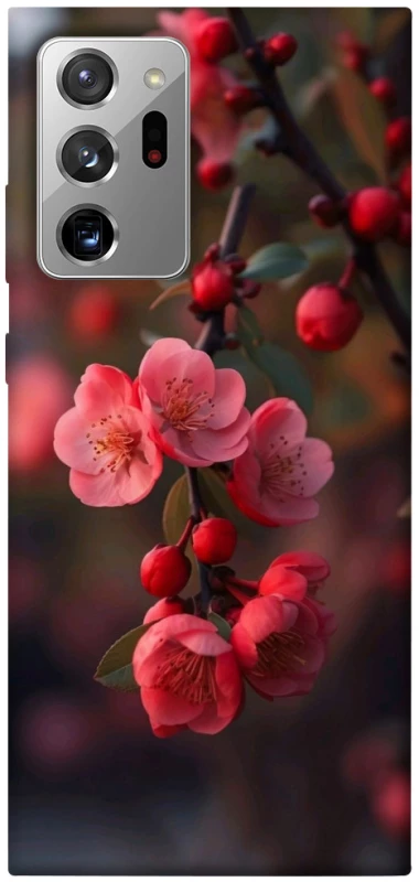 Чехол на Samsung Galaxy Note 20 Ultra Flowers v28 фото 1 из 1