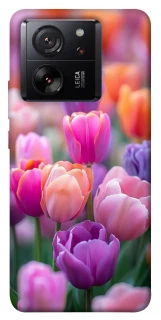 Чохол на Xiaomi 13T Pro Тюльпанове поле фото 1 з 1