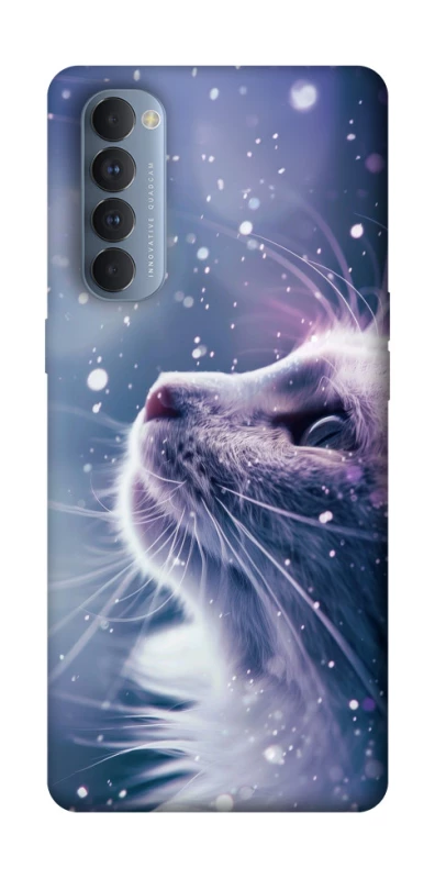 Чохол на Oppo Reno 4 Pro Snow cat фото 1 з 1