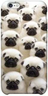 Чохол на Apple iPhone 6/6s plus (5.5") Doggy Pug Love фото 1 з 1