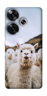 Чехол на Xiaomi Poco F6 Лама фото 1 из 1