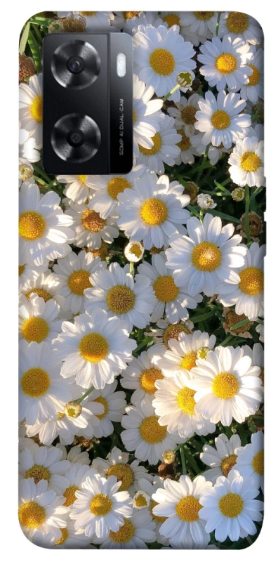 Чохол на Oppo A57s Поле ромашок фото 1 з 1