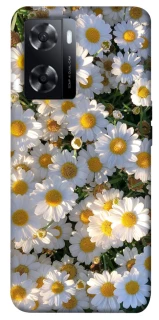 Чохол на Oppo A77s Поле ромашок фото 1 з 1