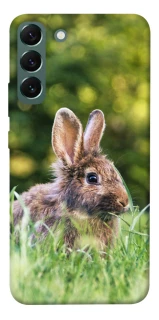 Чехол на Samsung Galaxy S22+ Кролики фото 1 из 1