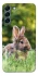 Чехол на Samsung Galaxy S22+ Кролики фото 1 из 1