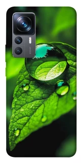 Чехол на Xiaomi 12T / 12T Pro Flowers v16 фото 1 из 1