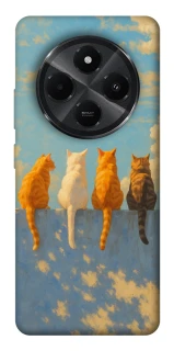 Чехол на Xiaomi Poco M7 cats on wall фото 1 Чехол на Xiaomi Poco M7 cats on wall фото 1 из 1