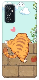 Чехол на Samsung Galaxy M52 Cat the meow фото 1 Чехол на Samsung Galaxy M52 Cat the meow фото 1 из 1
