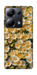 Чехол на Xiaomi Poco M6 Pro 4G Camomile фото 1 из 1
