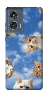 Чехол на Motorola Edge 50 Сats фото 1 из 1