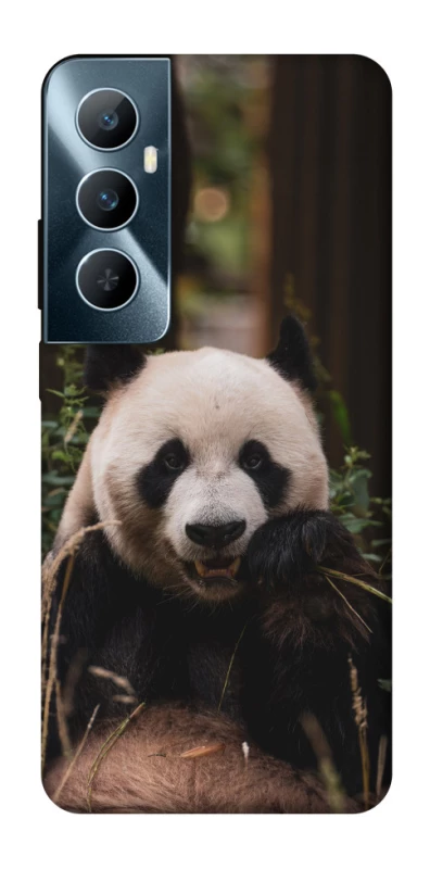 Чехол на Realme C65 4G Панда фото 1 из 1